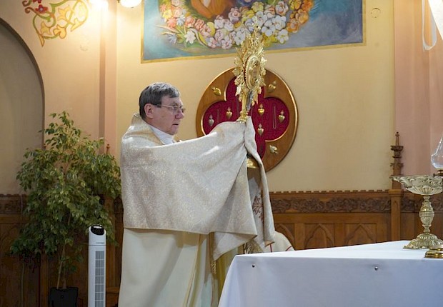Odpust ku czci Matki Bożej Nieustającej Pomocy