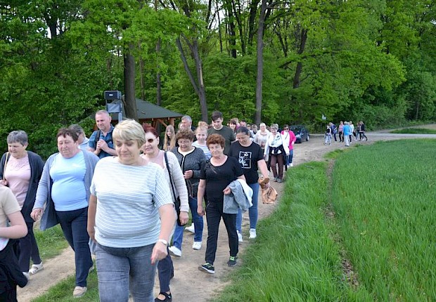 Pielgrzymka do Matki Bożej w lesie