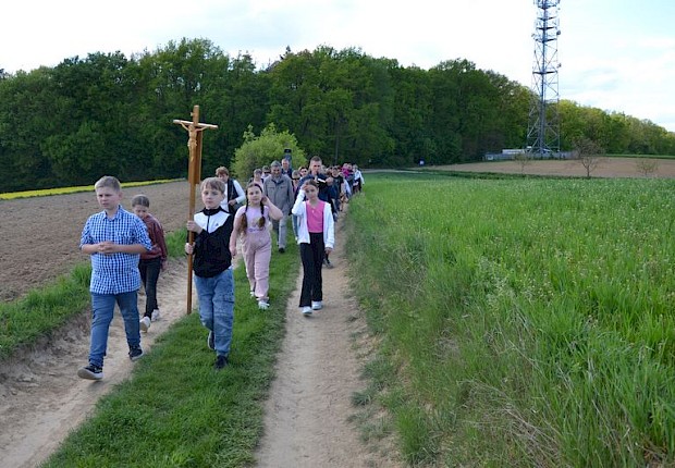Pielgrzymka do Matki Bożej w lesie