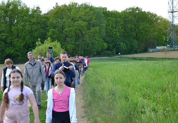 Pielgrzymka do Matki Bożej w lesie