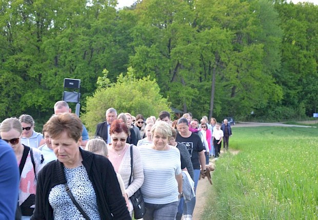 Pielgrzymka do Matki Bożej w lesie