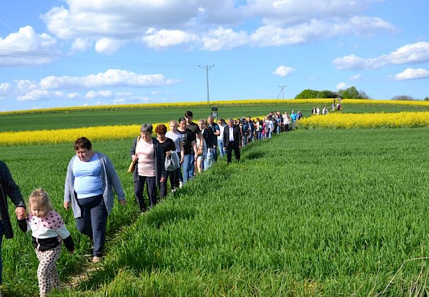 Pielgrzymka do Matki Bożej w lesie