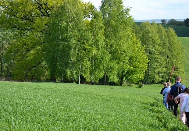 Pielgrzymka do Matki Bożej w lesie