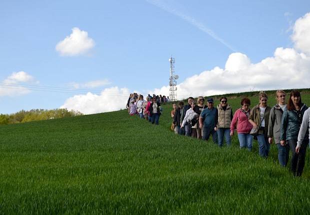 Pielgrzymka do Matki Bożej w lesie