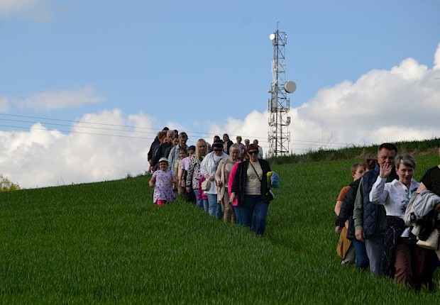 Pielgrzymka do Matki Bożej w lesie