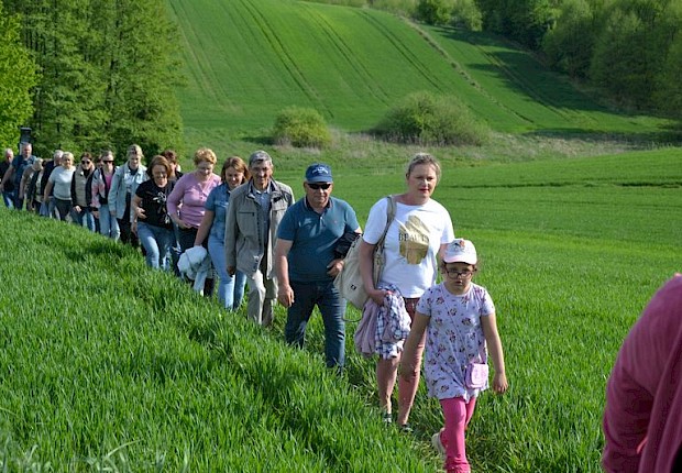 Pielgrzymka do Matki Bożej w lesie