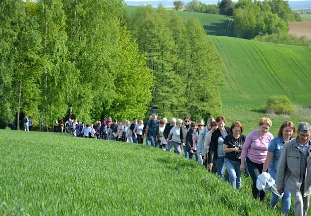 Pielgrzymka do Matki Bożej w lesie