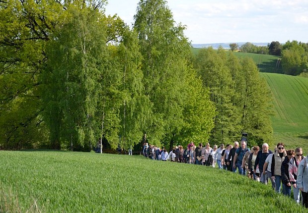 Pielgrzymka do Matki Bożej w lesie