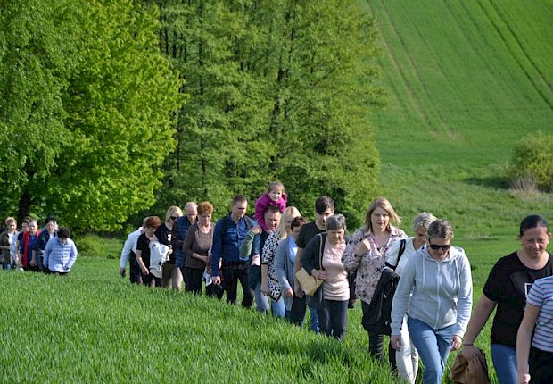Pielgrzymka do Matki Bożej w lesie