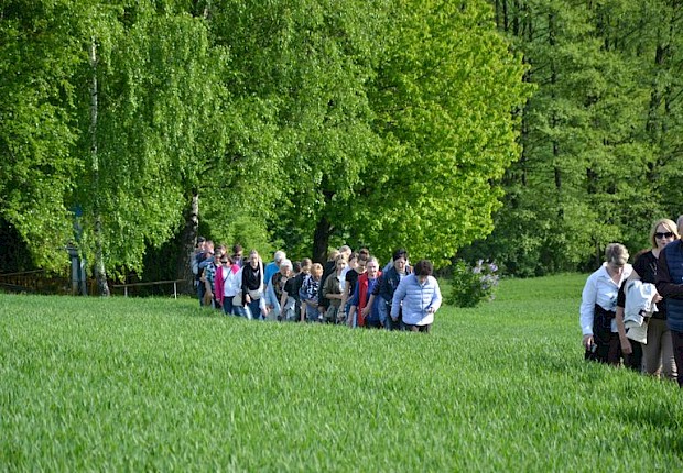 Pielgrzymka do Matki Bożej w lesie