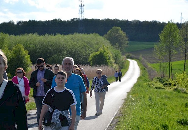 Pielgrzymka do Matki Bożej w lesie