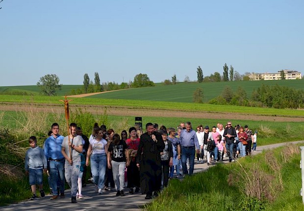 Pielgrzymka do Matki Bożej w lesie
