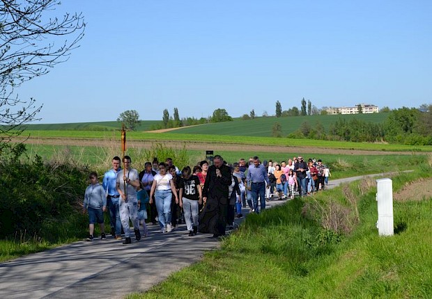 Pielgrzymka do Matki Bożej w lesie