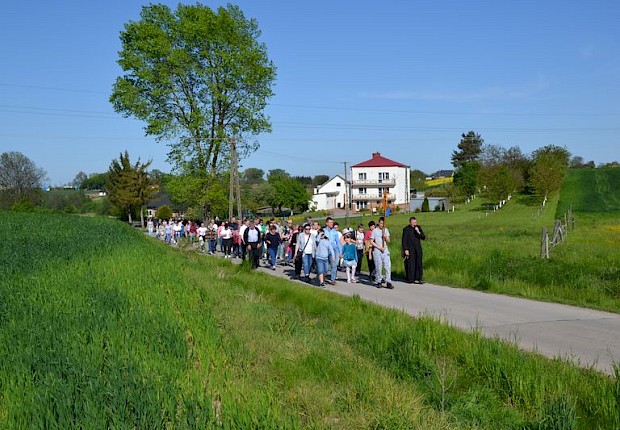 Pielgrzymka do Matki Bożej w lesie