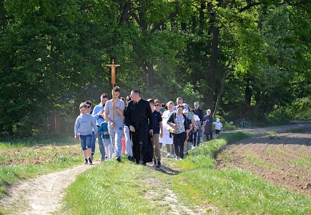 Pielgrzymka do Matki Bożej w lesie
