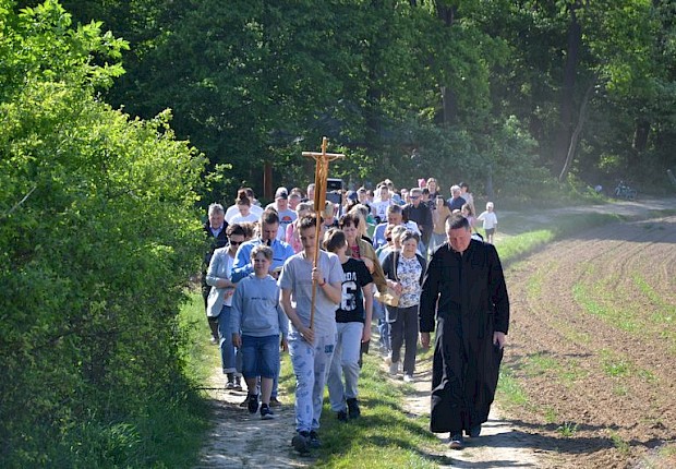 Pielgrzymka do Matki Bożej w lesie