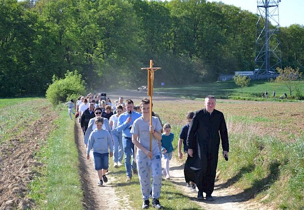 Pielgrzymka do Matki Bożej w lesie