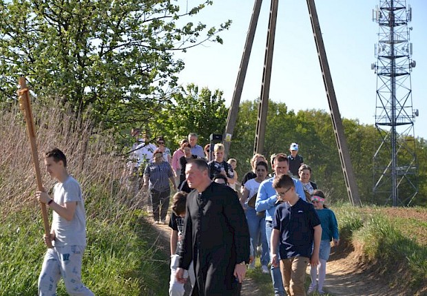 Pielgrzymka do Matki Bożej w lesie