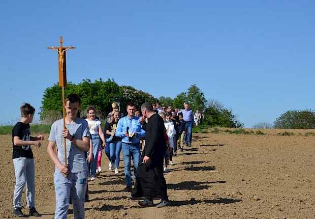 Pielgrzymka do Matki Bożej w lesie