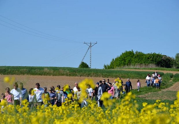 Pielgrzymka do Matki Bożej w lesie