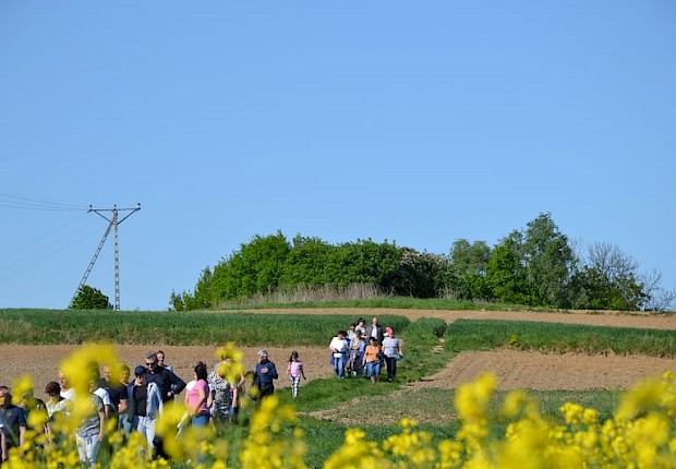 Pielgrzymka do Matki Bożej w lesie