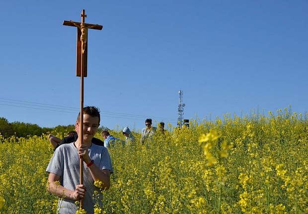 Pielgrzymka do Matki Bożej w lesie