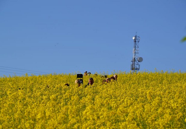 Pielgrzymka do Matki Bożej w lesie
