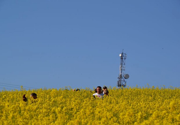 Pielgrzymka do Matki Bożej w lesie