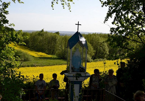 Pielgrzymka do Matki Bożej w lesie