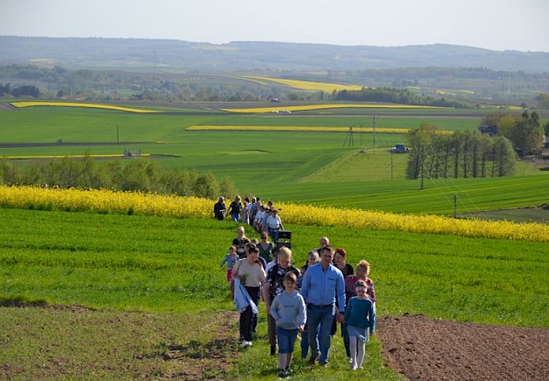 Pielgrzymka do Matki Bożej w lesie