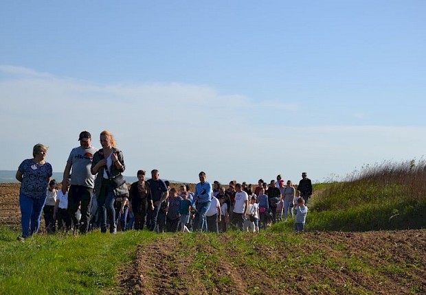 Pielgrzymka do Matki Bożej w lesie