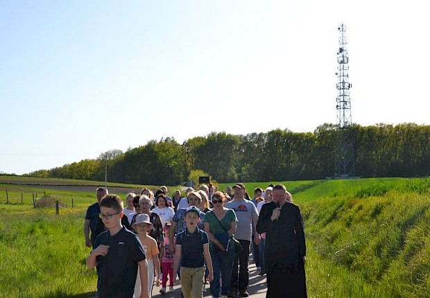 Pielgrzymka do Matki Bożej w lesie