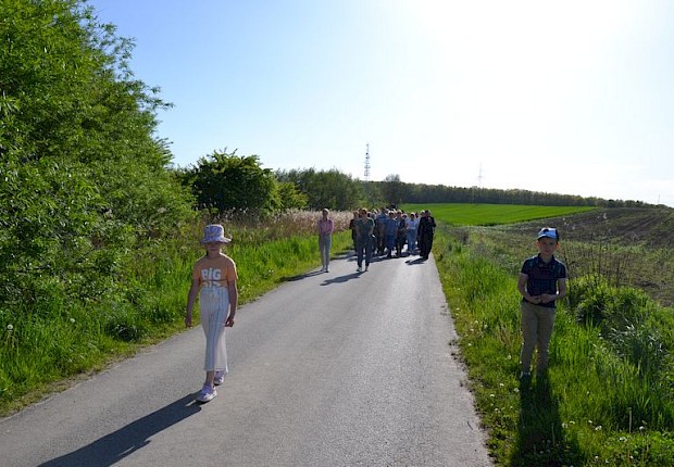 Pielgrzymka do Matki Bożej w lesie