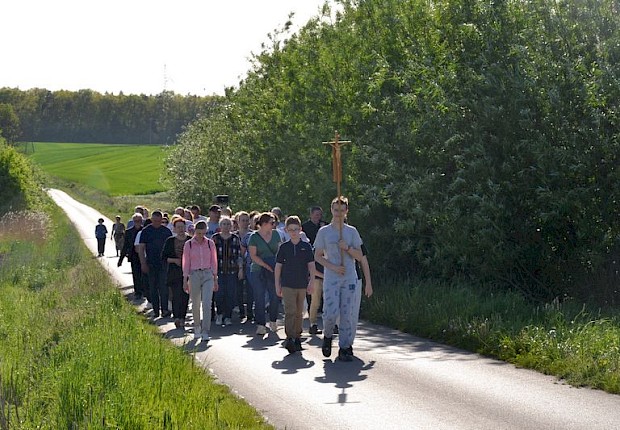 Pielgrzymka do Matki Bożej w lesie