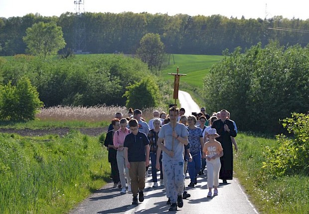 Pielgrzymka do Matki Bożej w lesie
