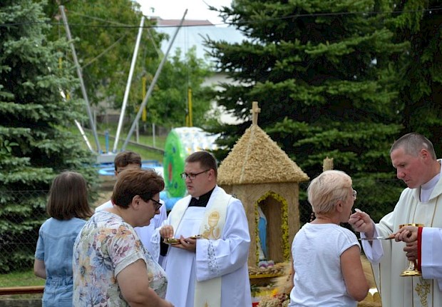 Gminne Święto Plon&oacute;w