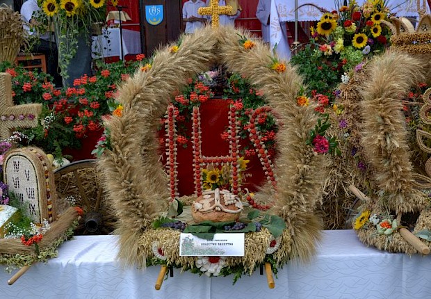Gminne Święto Plon&oacute;w