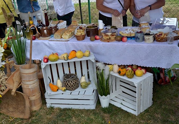 Gminne Święto Plon&oacute;w