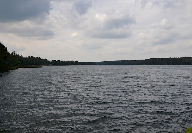 Parafialna Pielgrzymka do Wilna