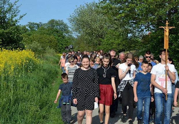 Pielgrzymka do Matki Bożej w lesie
