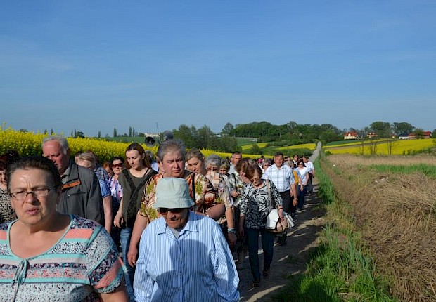 Pielgrzymka do Matki Bożej w lesie