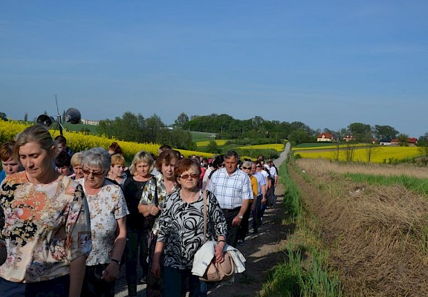 Pielgrzymka do Matki Bożej w lesie