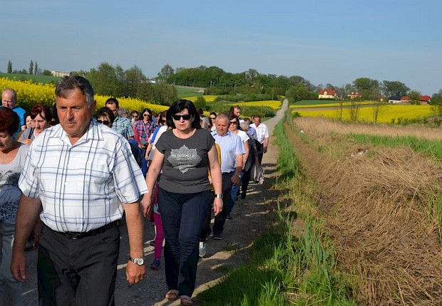 Pielgrzymka do Matki Bożej w lesie
