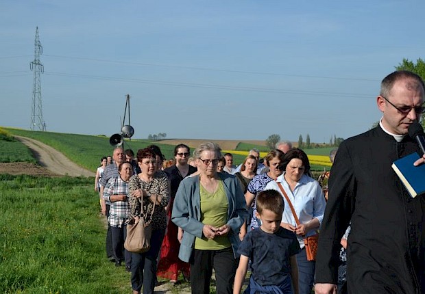 Pielgrzymka do Matki Bożej w lesie