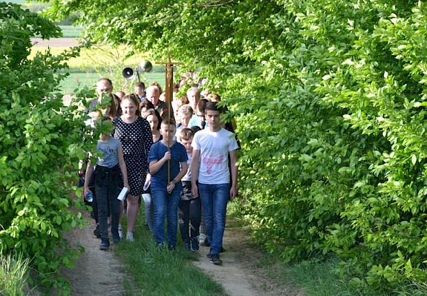 Pielgrzymka do Matki Bożej w lesie