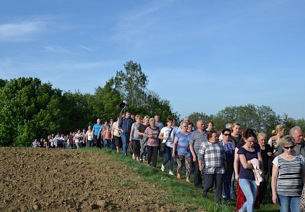 Pielgrzymka do Matki Bożej w lesie