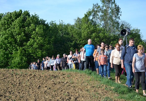 Pielgrzymka do Matki Bożej w lesie