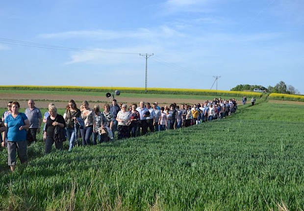 Pielgrzymka do Matki Bożej w lesie