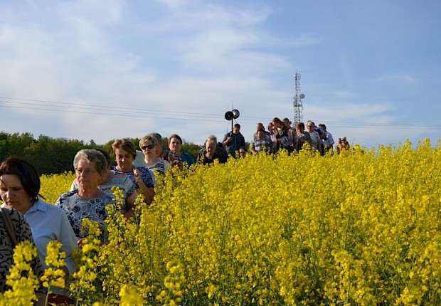 Pielgrzymka do Matki Bożej w lesie