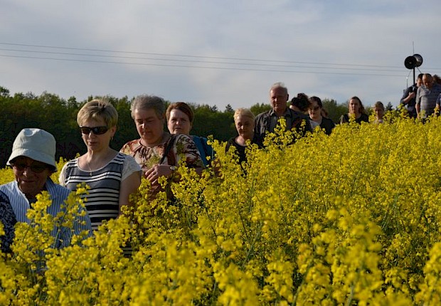 Pielgrzymka do Matki Bożej w lesie